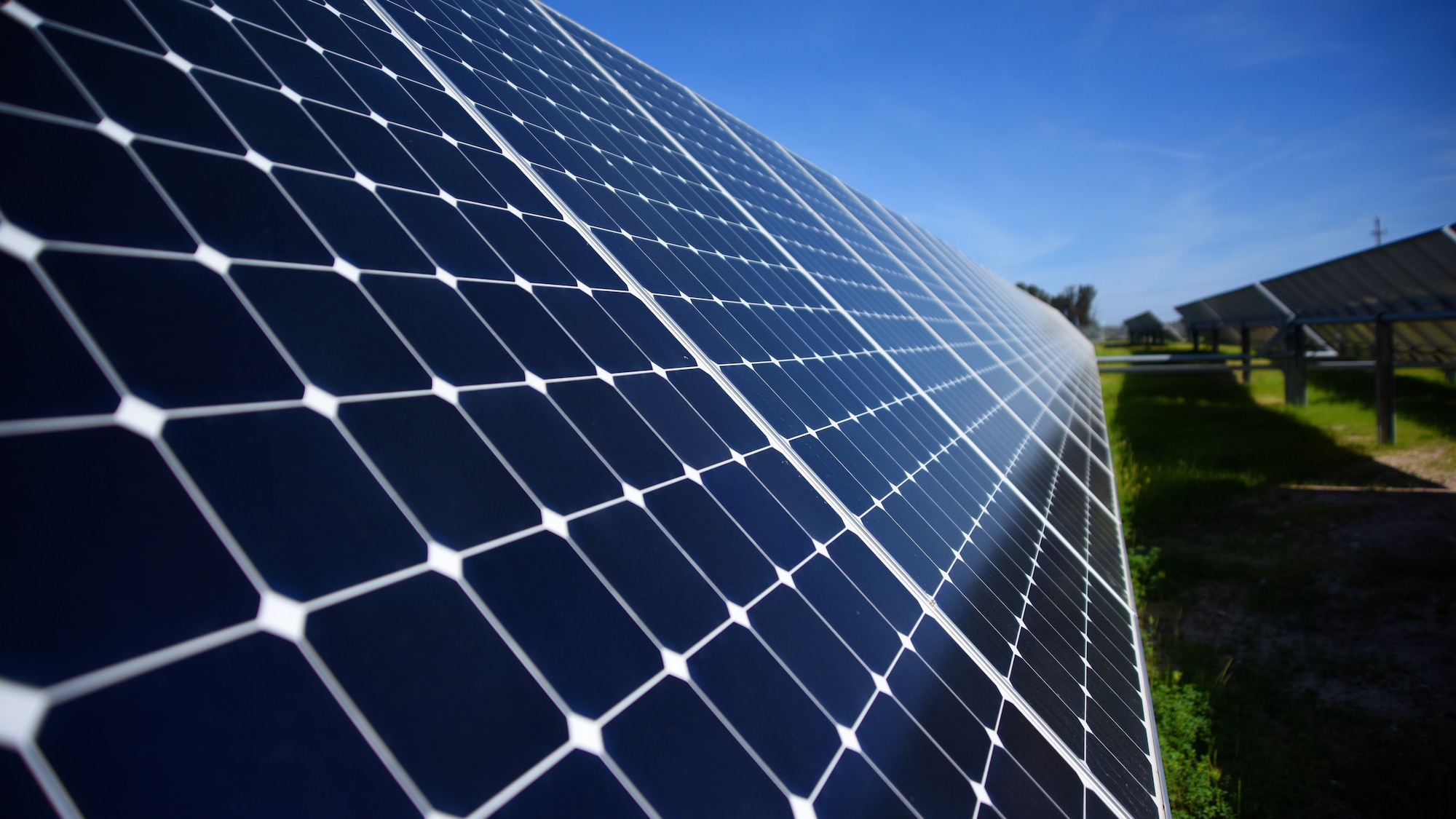 New Energy Industry